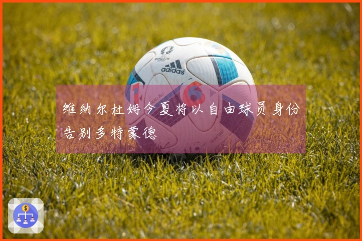 维纳尔杜姆今夏将以自由球员身份告别多特蒙德