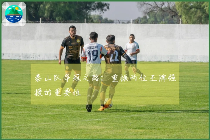 泰山队争冠之路：重振两位王牌强援的重要性